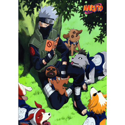 נארוטו - פוסטר קאקאשי
