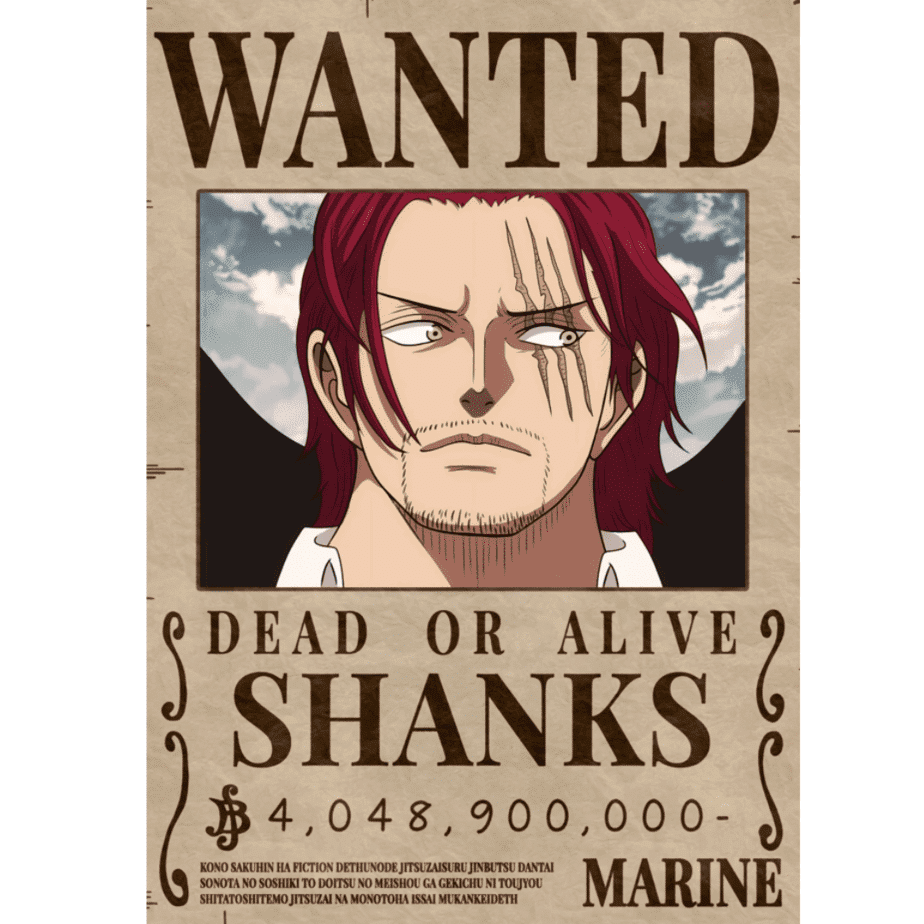 וואן פיס - פוסטר מבוקש שאנקס